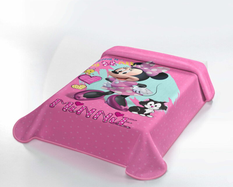 minnie mouse blanket photo scaled