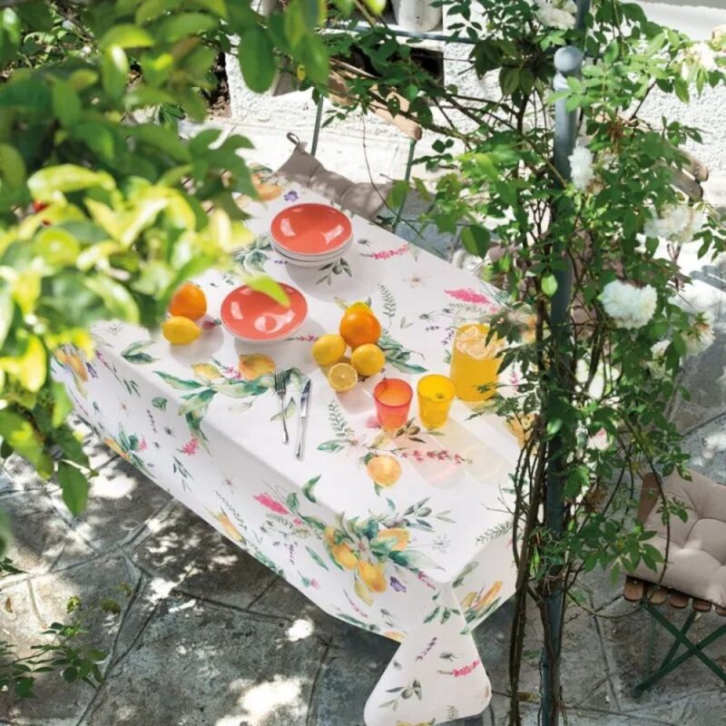 Citrus Vallesusa Casa