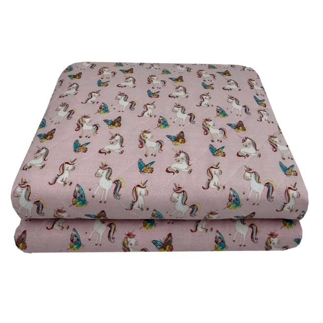Fairy Unicorn Astron Home