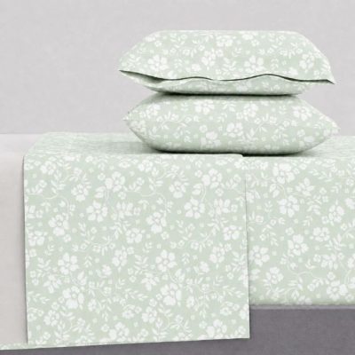 Emily Olive Astron Home
