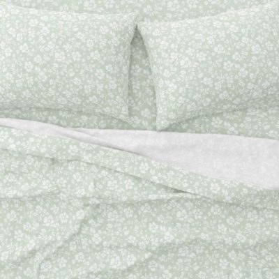Emily Olive Astron Home