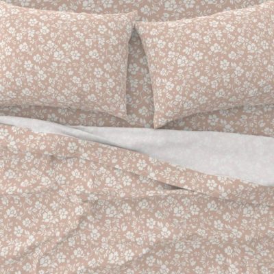 Emily Chocolat Astron Home